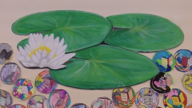 Floating lily pads and water lily bloom